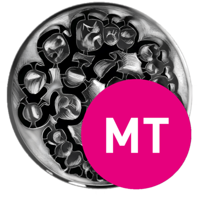 priti®multidisc ZrO2, Multi Translucent