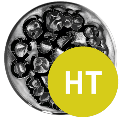 priti®multidisc ZrO2, multicolor High Translucent