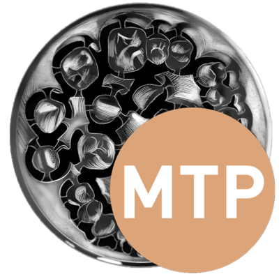 priti®multidisc ZrO2, Multi Translucent PLUS